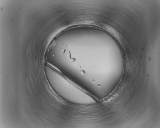 X0000067521332200604071311