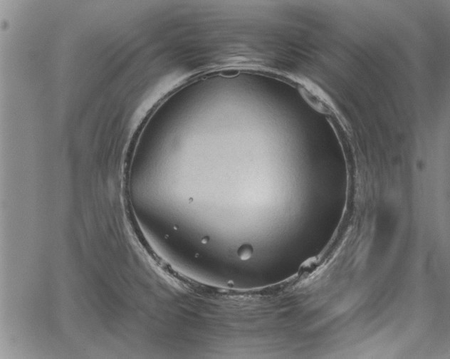 X0000067521333200604071311