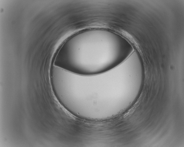 X0000067521334200604071311