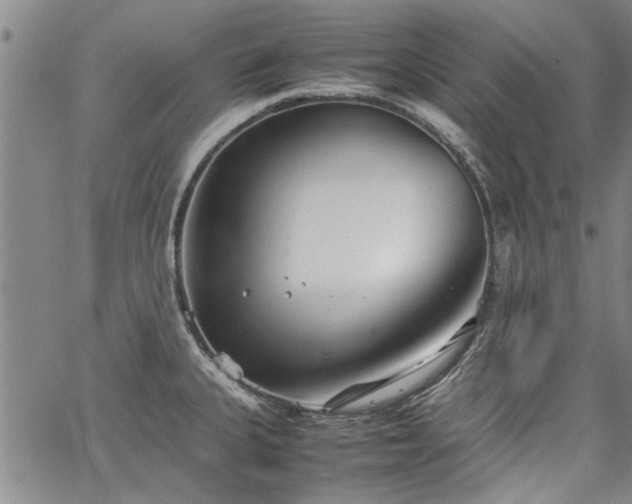 X0000067521335200604071312