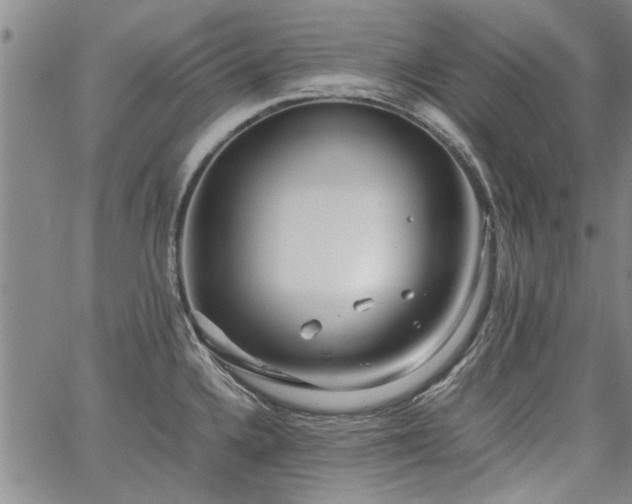 X0000067521336200604071312