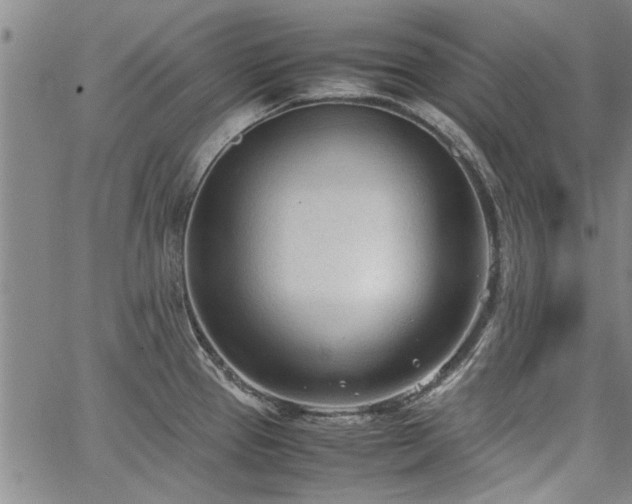 X0000067521337200604071312