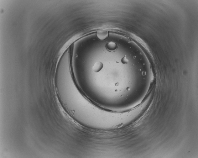 X0000067521338200604071312