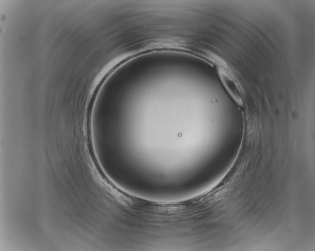 X0000067521339200604071312