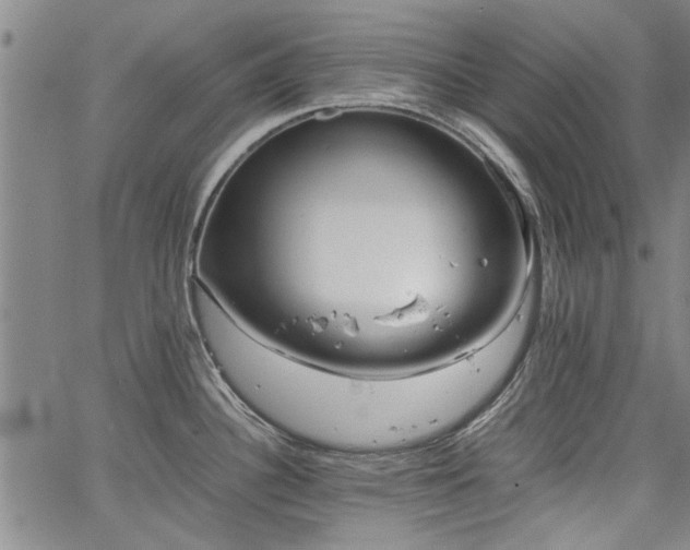 X0000067521340200604071312