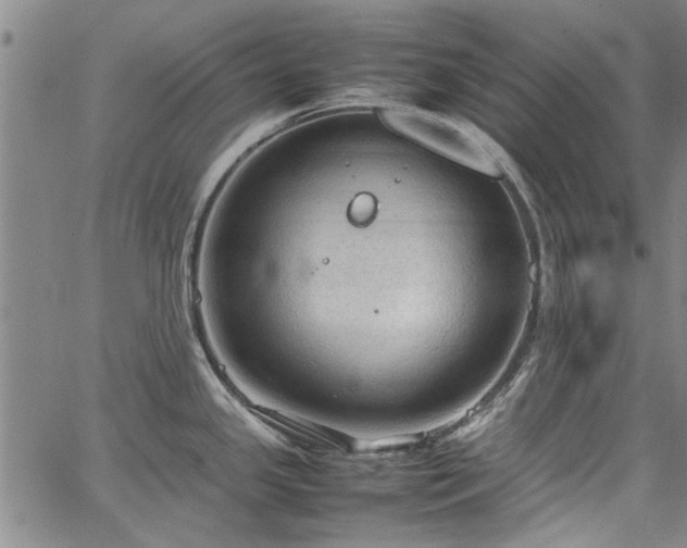 X0000067521341200604071312