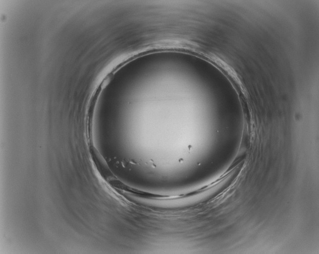 X0000067521342200604071312