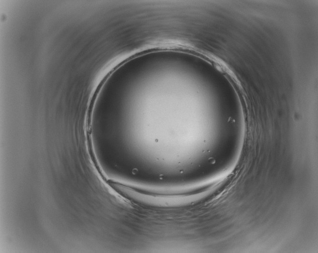 X0000067521343200604071312