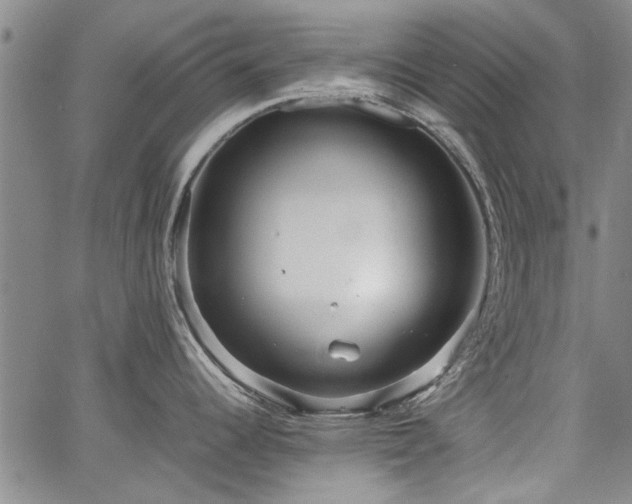 X0000067521344200604071312