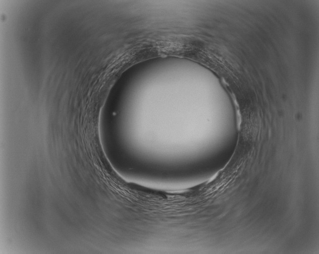 X0000067521345200604071311