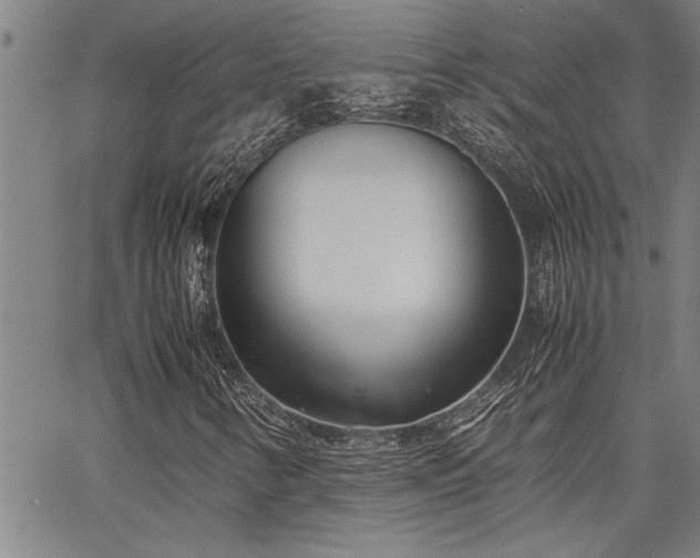 X0000067521346200604071311