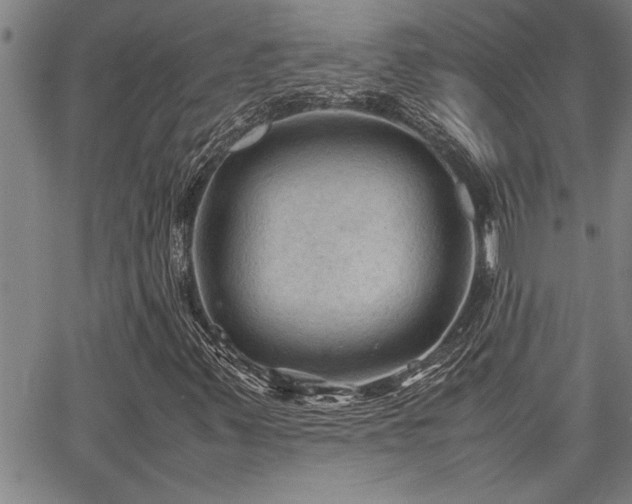 X0000067521347200604071311