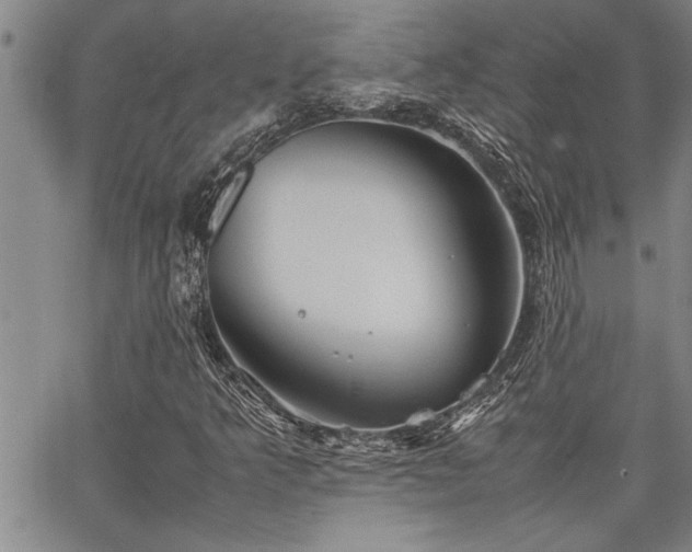 X0000067521349200604071311