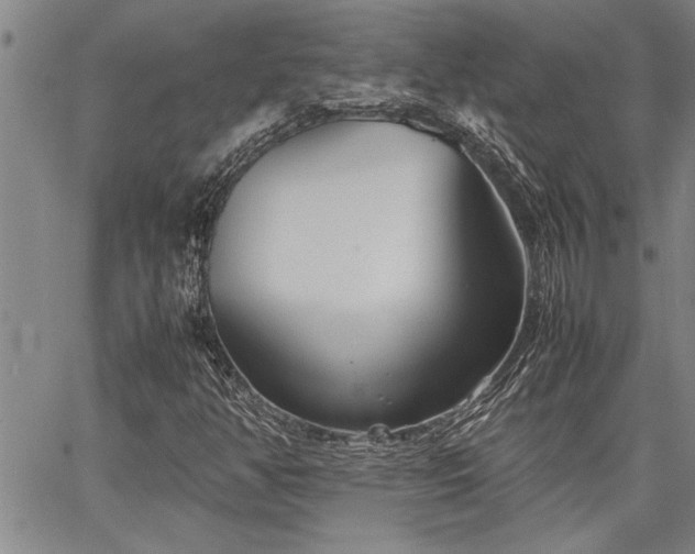 X0000067521350200604071311