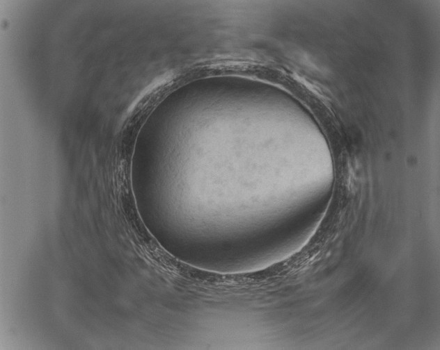 X0000067521351200604071311