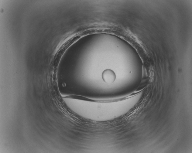 X0000067521352200604071311