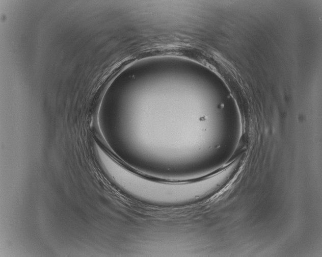 X0000067521353200604071311