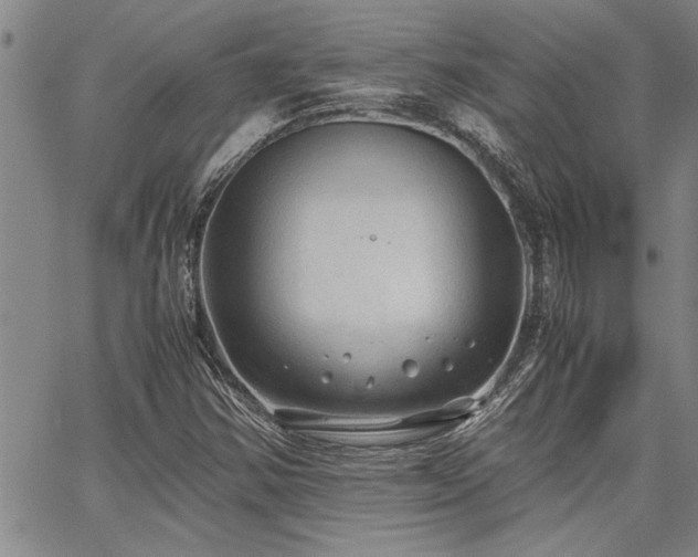 X0000067521354200604071311