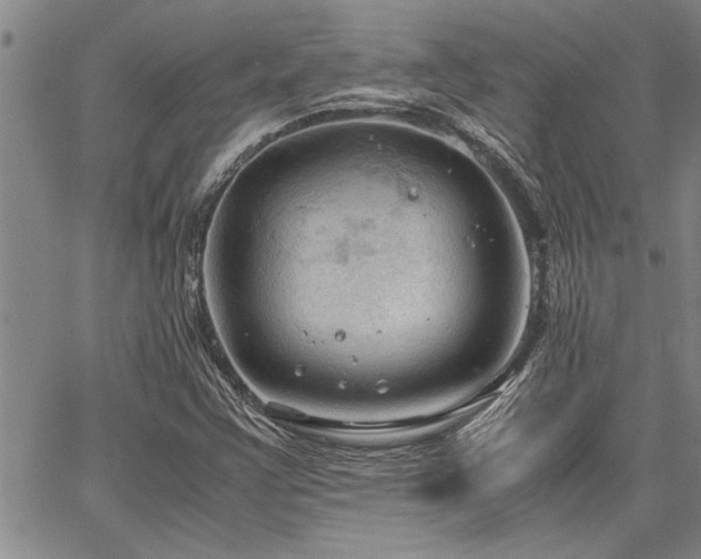 X0000067521355200604071311