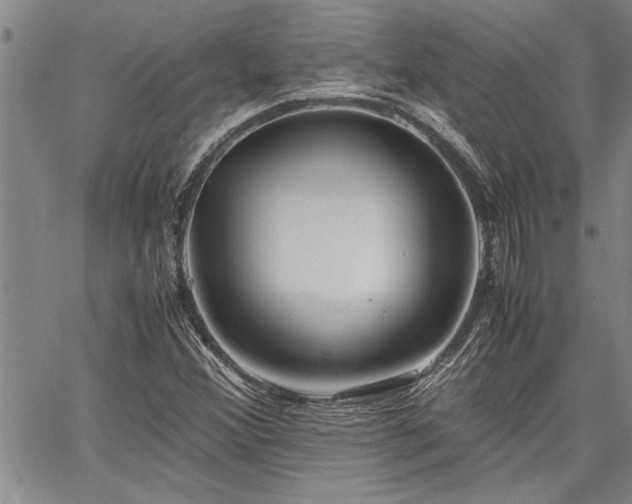 X0000067521356200604071311