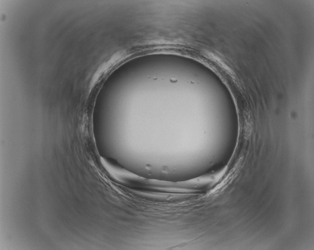 X0000067521357200604071311