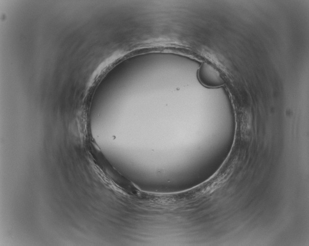 X0000067521358200604071311