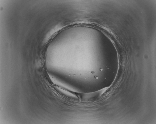 X0000067521359200604071311