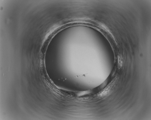 X0000067521360200604071311