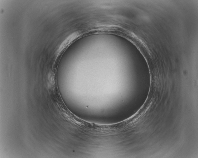 X0000067521362200604071311