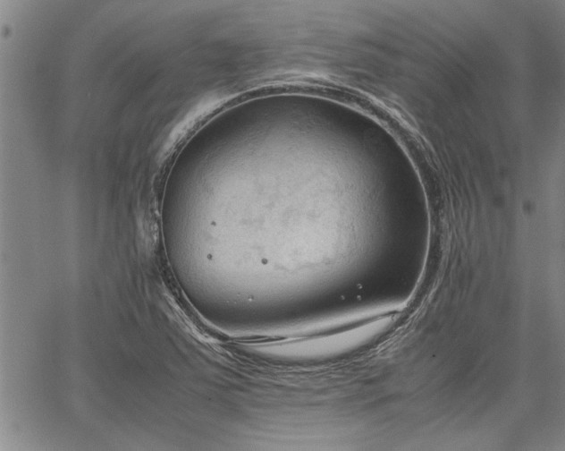 X0000067521363200604071311