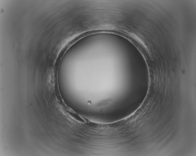 X0000067521364200604071311