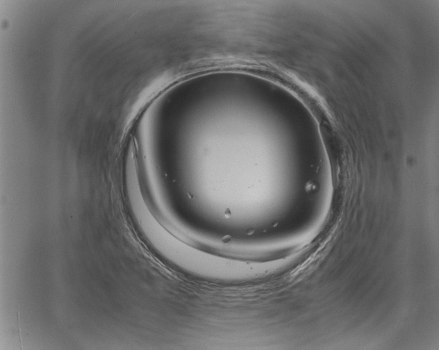 X0000067521365200604071311