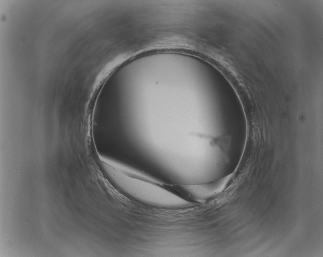 X0000067521366200604071311