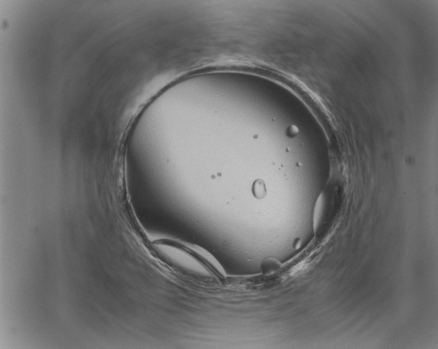 X0000067521367200604071311