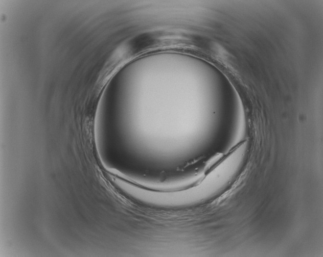 X0000067521369200604071310