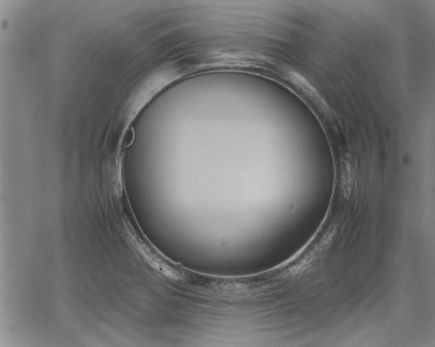 X0000067521370200604071310