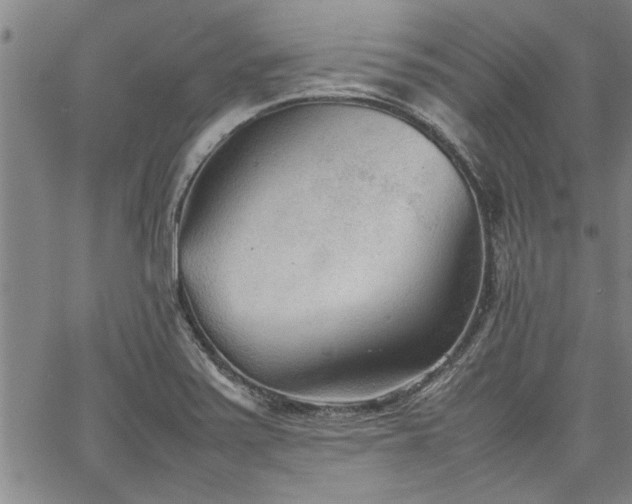 X0000067521371200604071310