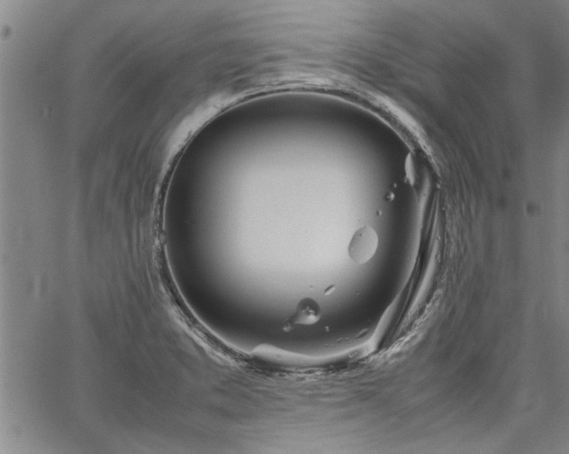 X0000067521373200604071310