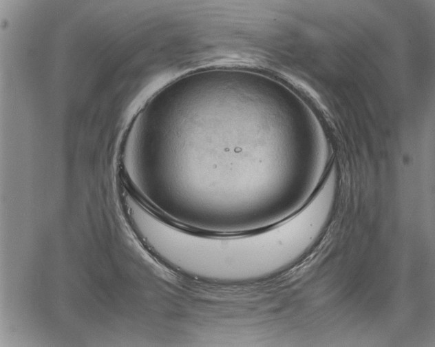 X0000067521375200604071310