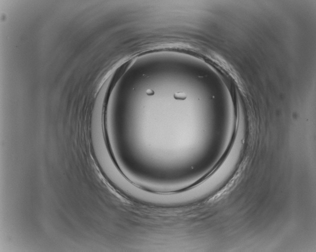 X0000067521377200604071310