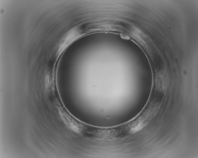 X0000067521378200604071310