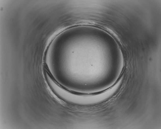 X0000067521379200604071310