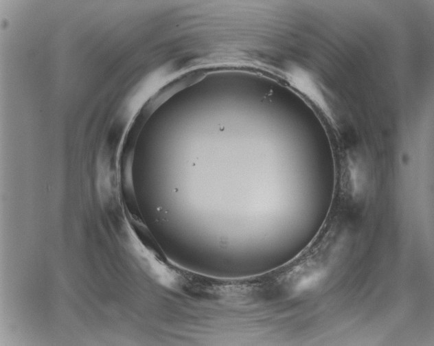 X0000067521380200604071310