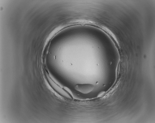 X0000067521381200604071310