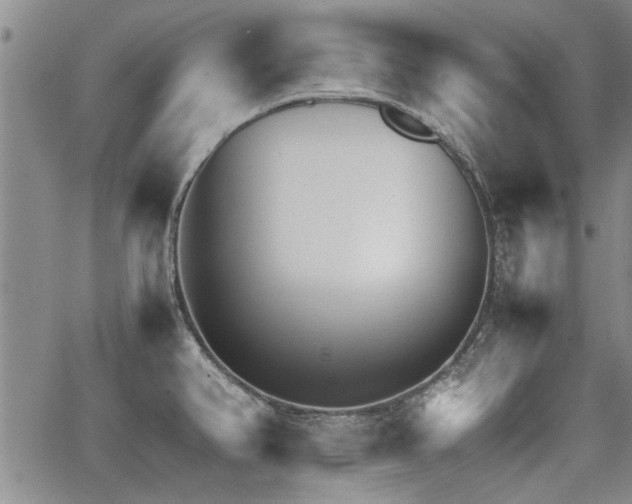 X0000067521382200604071310