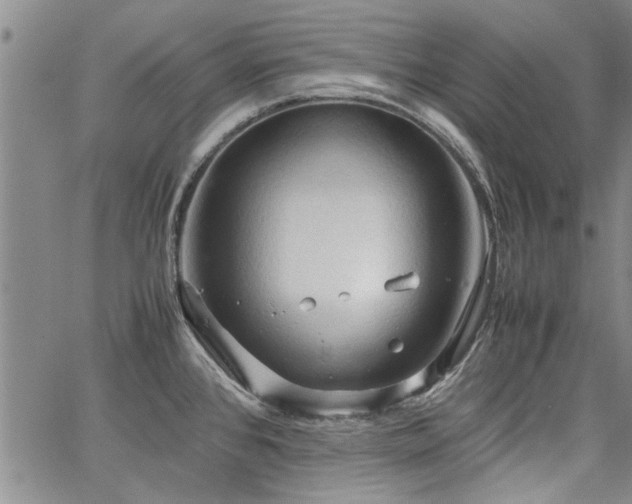 X0000067521384200604071310