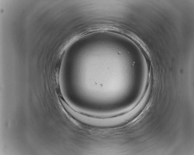 X0000067521385200604071310