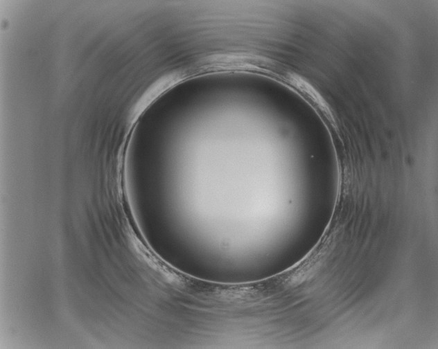 X0000067521386200604071310