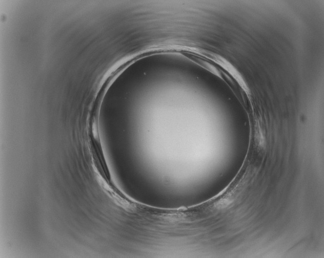 X0000067521388200604071310