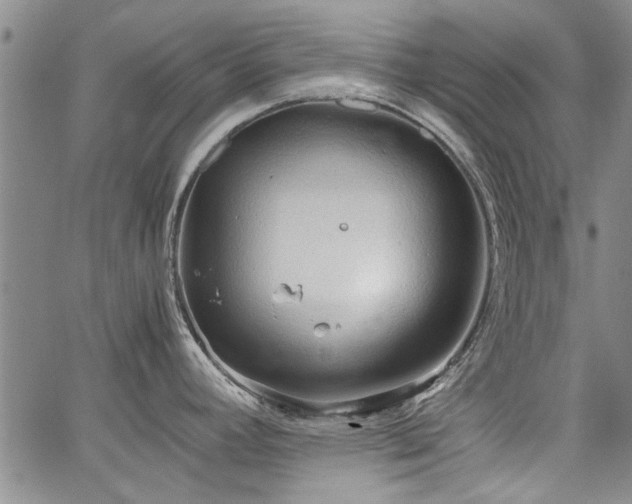 X0000067521392200604071310